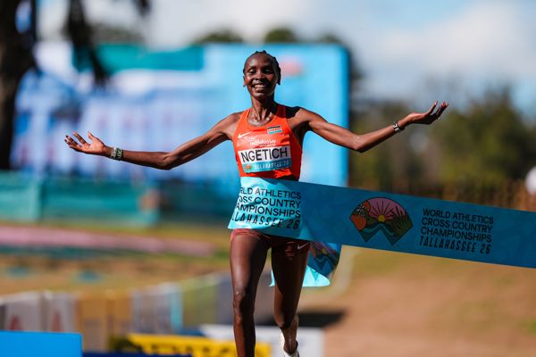 world-cross-tallahassee-26-senior-women