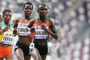 hokuren-distance-abashiri-rosemary-wanjiru