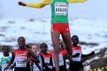 ayalew-masai-kangogo-cross-lacier
