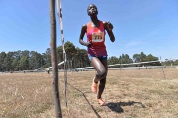 eldoret-cross-country-tirop-emase-carton-hann