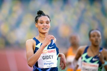 ratified-world-record-gidey-hassan-hodgkinson-holloway-warholm