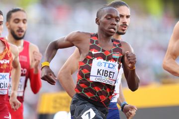 wu20-cali-22-preview-distance