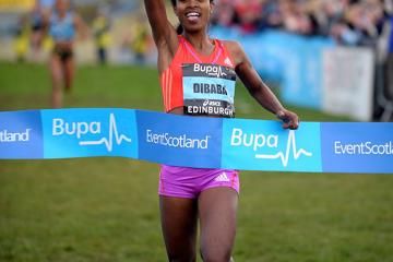 dibaba-dashes-defars-hopes-with-speedy-finish
