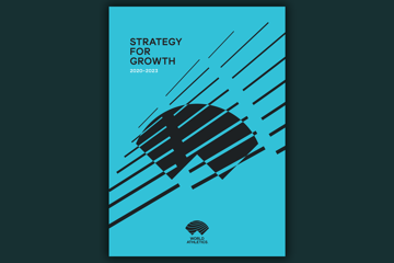 strategic-plan-for-growth