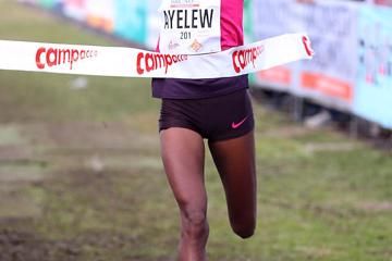 campaccio-cross-country-2014-rop-ayalew