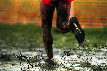 best-of-world-cross-country-champs