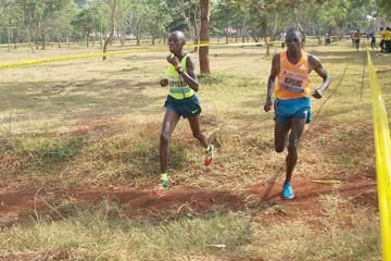 ugandan-cross-country-championships-2015