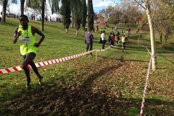 alcobendas-roeselare-cross-country-toroitich