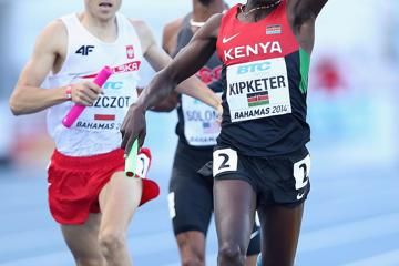 report-mens-4x800m-final-nassau-2014