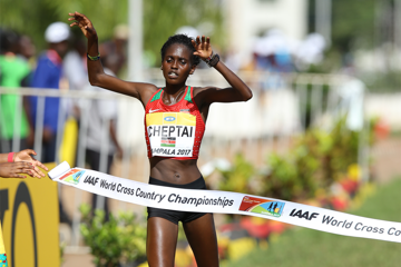 cheptai-kenya-top-six-sweep-world-cross-count