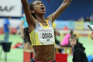 dibaba-karlsruhe-1500