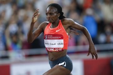 cross-country-machakos-brussels-venta-de-bano